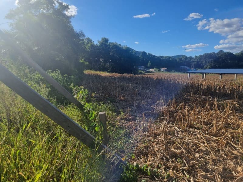 Foto 7 de 8: Imóvel em leilão em São Domingos Do Sul - RS — LOTE 001 Imóvel