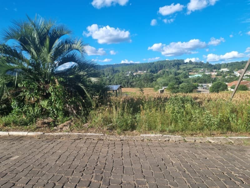 Foto 8 de 8: Imóvel em leilão em São Domingos Do Sul - RS — LOTE 001 Imóvel