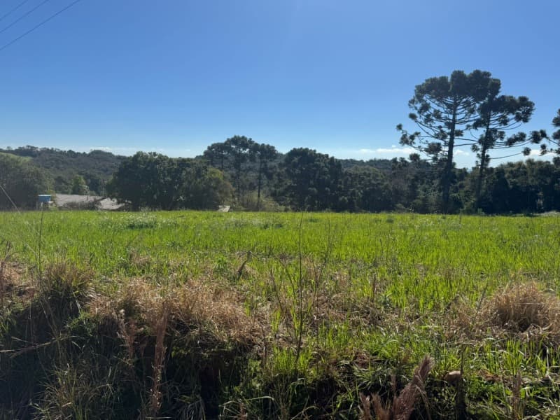Foto 1 de 11: Imóvel em leilão em Marau - RS — LOTE 003 Imóvel