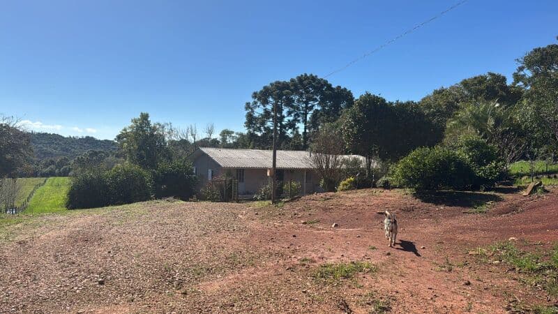 Foto 10 de 11: Imóvel em leilão em Marau - RS — LOTE 003 Imóvel