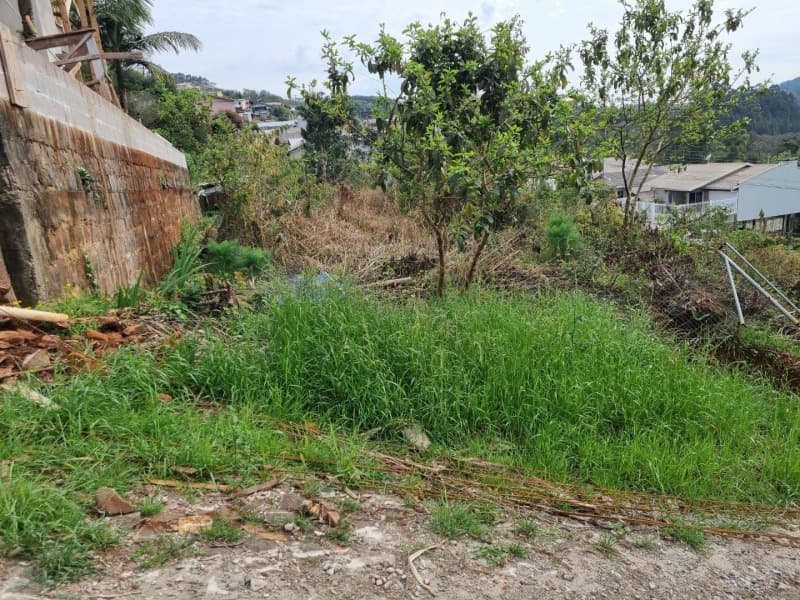 Foto 2 de 12: Terreno em leilão em Aratiba - RS — LOTE 001-2 Imóvel