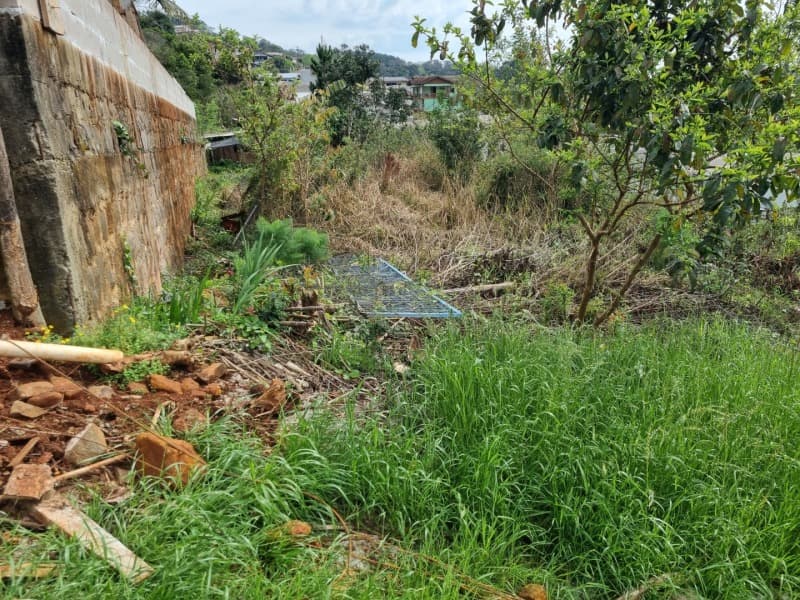 Foto 4 de 12: Terreno em leilão em Aratiba - RS — LOTE 001-2 Imóvel
