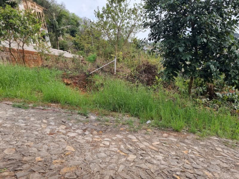 Foto 7 de 12: Terreno em leilão em Aratiba - RS — LOTE 001-2 Imóvel