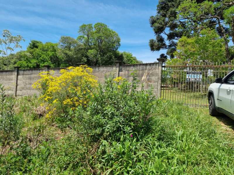 Foto 16 de 16: Terreno em leilão em Soledade - RS — LOTE 005 Imóvel