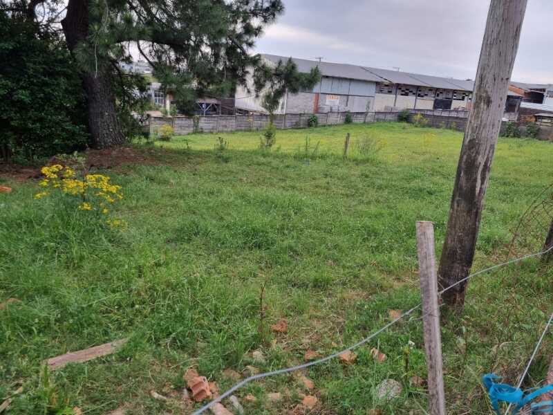 Foto 5 de 16: Imóvel em leilão em Soledade - RS — LOTE 019 Imóvel