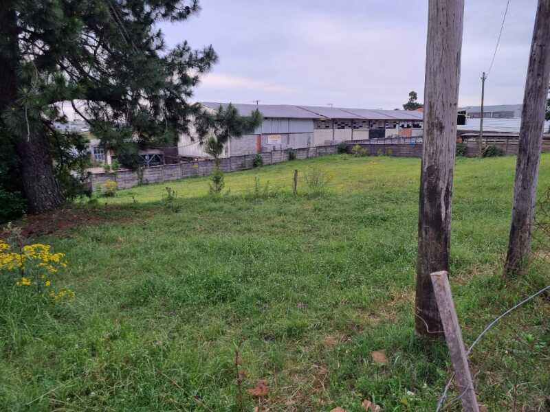 Foto 6 de 16: Imóvel em leilão em Soledade - RS — LOTE 019 Imóvel