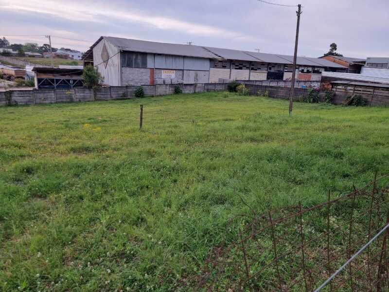 Foto 14 de 16: Imóvel em leilão em Soledade - RS — LOTE 019 Imóvel