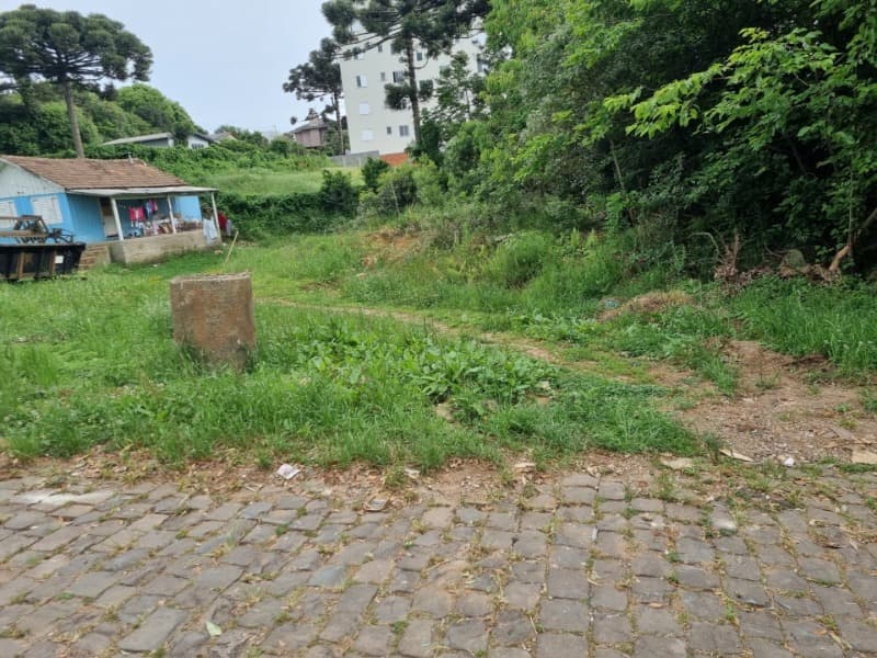 Foto 3 de 14: Terreno em leilão em Soledade - RS — LOTE 026 Imóvel