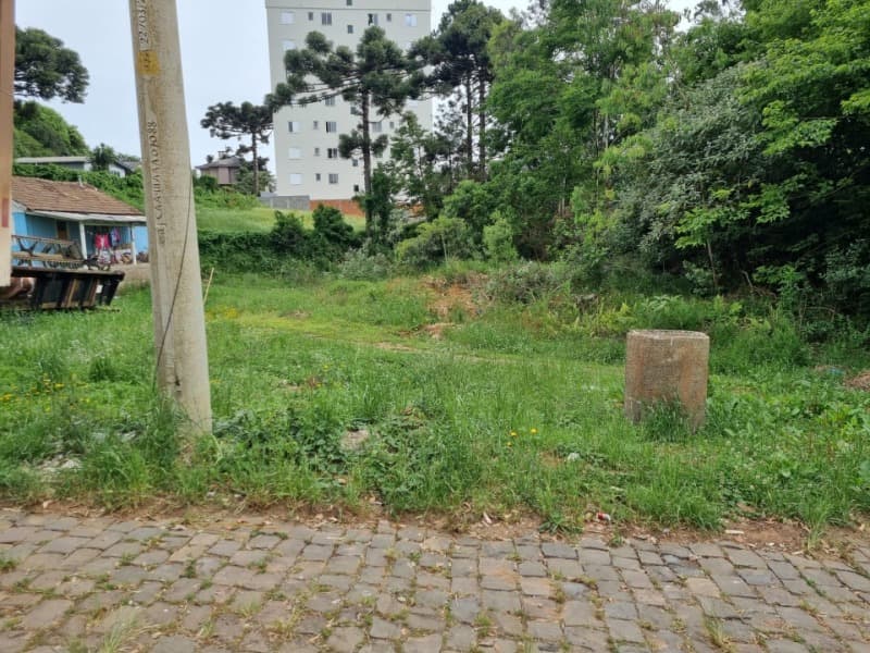 Foto 7 de 14: Terreno em leilão em Soledade - RS — LOTE 026 Imóvel