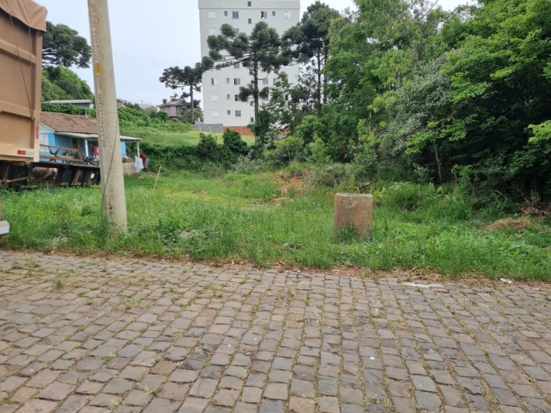 Foto 9 de 14: Terreno em leilão em Soledade - RS — LOTE 026 Imóvel