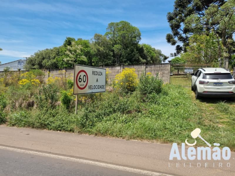 Foto 5 de 20: Terreno em leilão em Soledade - RS, bairro Farroupilha — LOTE 002 imóvel