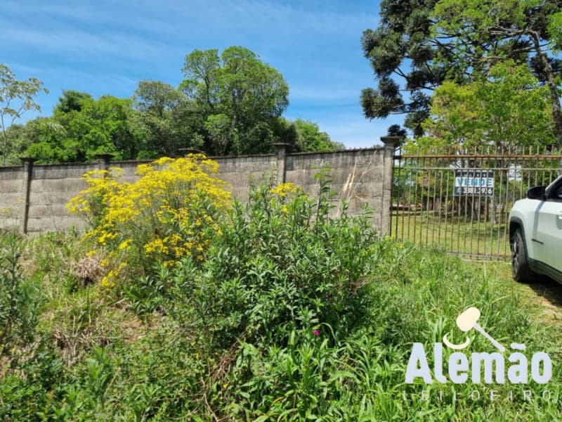 Foto 20 de 20: Terreno em leilão em Soledade - RS, bairro Farroupilha — LOTE 002 imóvel