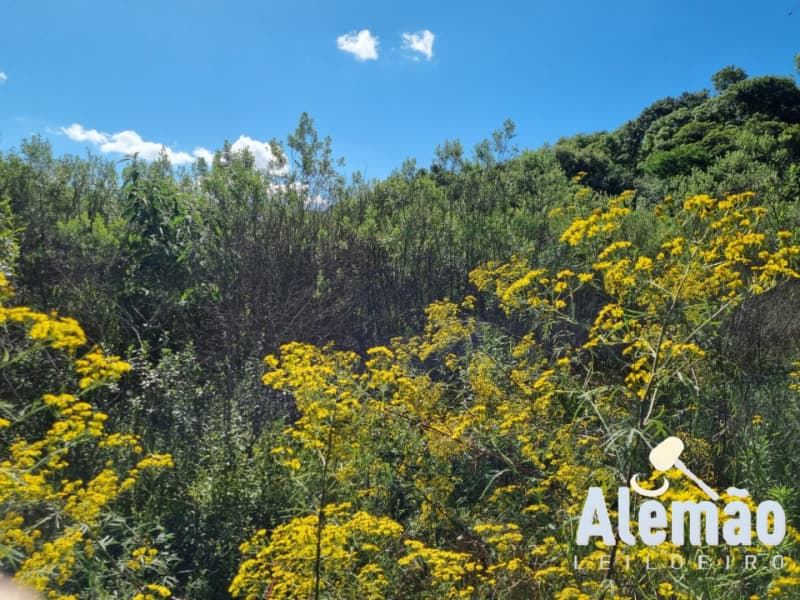 Foto 6 de 12: Terreno em leilão em Soledade - RS, bairro Expedicionário — LOTE 004 Imóvel