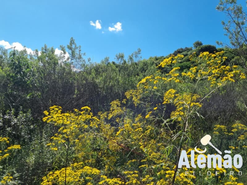 Foto 5 de 12: Terreno em leilão em Soledade - RS, bairro Expedicionário — LOTE 004 Imóvel