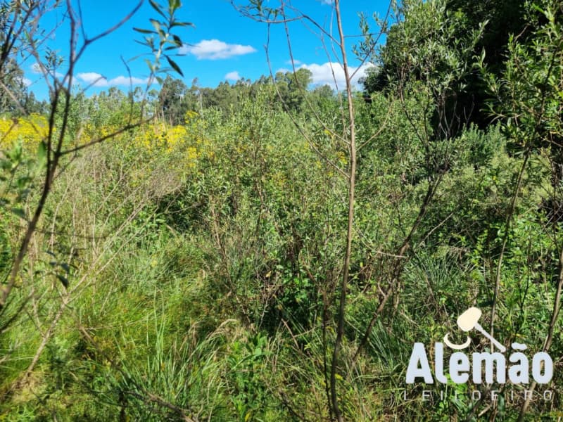 Foto 1 de 12: Terreno em leilão em Soledade - RS, bairro Expedicionário — LOTE 004 Imóvel