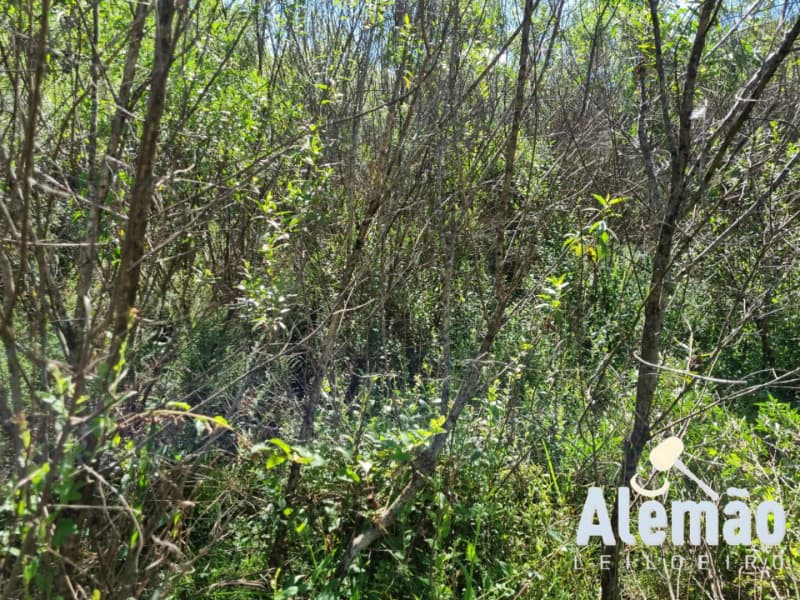 Foto 8 de 12: Terreno em leilão em Soledade - RS, bairro Expedicionário — LOTE 004 Imóvel