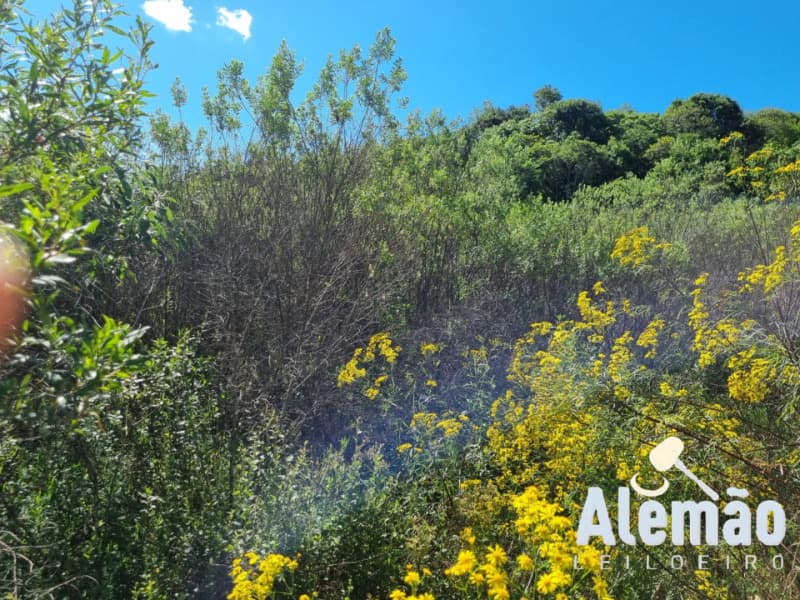 Foto 9 de 12: Terreno em leilão em Soledade - RS, bairro Expedicionário — LOTE 004 Imóvel