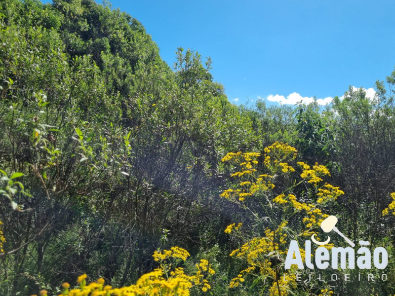 Foto 10 de 12: Terreno em leilão em Soledade - RS, bairro Expedicionário — LOTE 004 Imóvel