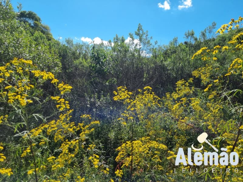 Foto 11 de 12: Terreno em leilão em Soledade - RS, bairro Expedicionário — LOTE 004 Imóvel