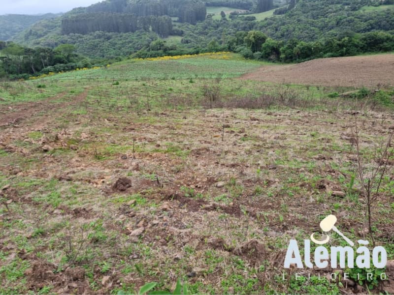 Foto 6 de 22: Area Rural em leilão em Barros Cassal - RS — LOTE 006 imóvel