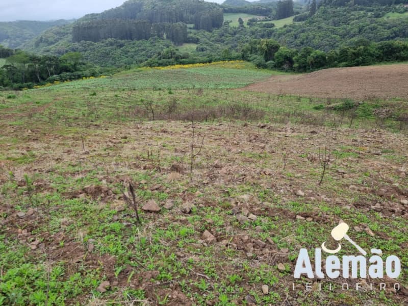 Foto 2 de 22: Area Rural em leilão em Barros Cassal - RS — LOTE 006 imóvel