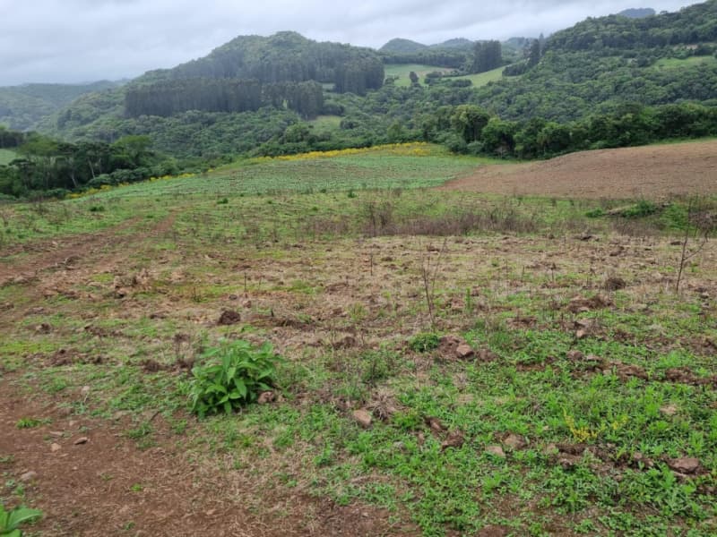 Foto 4 de 22: Area Rural em leilão em Barros Cassal - RS — LOTE 006 imóvel