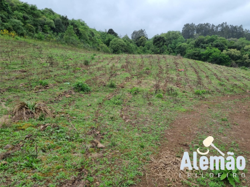 Foto 5 de 22: Area Rural em leilão em Barros Cassal - RS — LOTE 006 imóvel