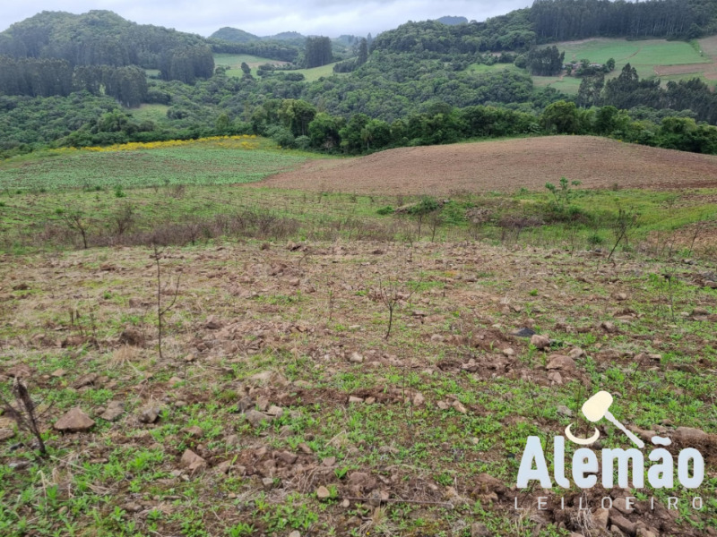 Foto 1 de 22: Area Rural em leilão em Barros Cassal - RS — LOTE 006 imóvel