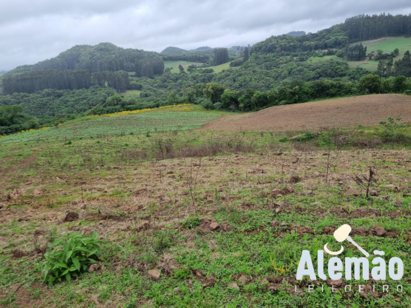Foto 7 de 22: Area Rural em leilão em Barros Cassal - RS — LOTE 006 imóvel