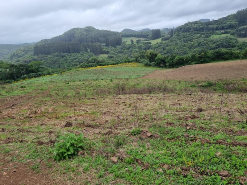 Foto 10 de 22: Area Rural em leilão em Barros Cassal - RS — LOTE 006 imóvel