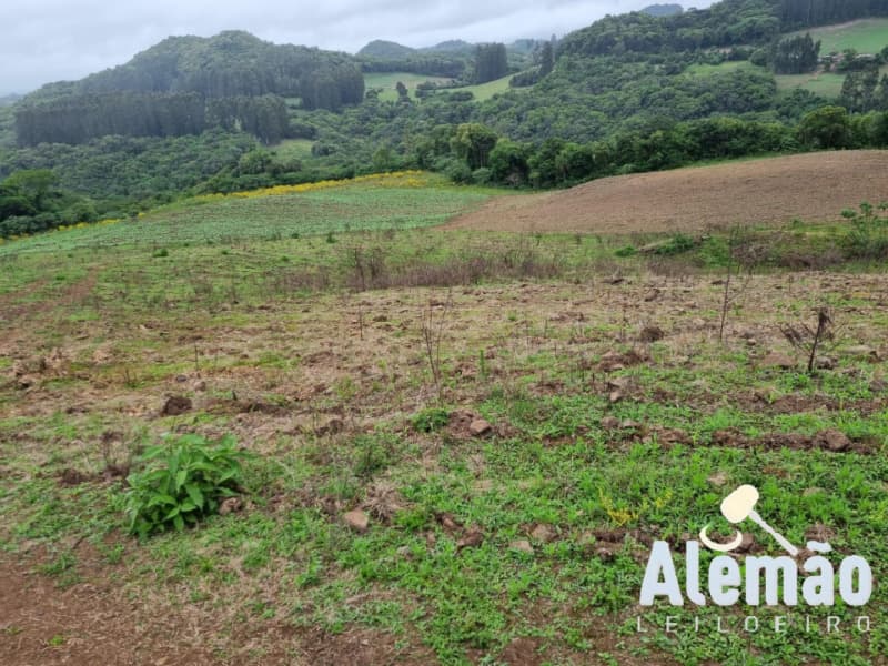 Foto 11 de 22: Area Rural em leilão em Barros Cassal - RS — LOTE 006 imóvel
