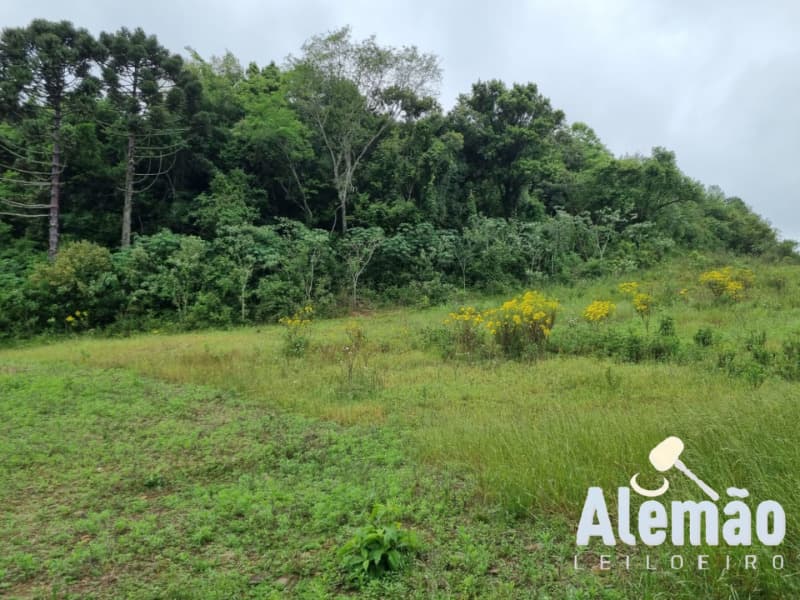 Foto 12 de 22: Area Rural em leilão em Barros Cassal - RS — LOTE 006 imóvel