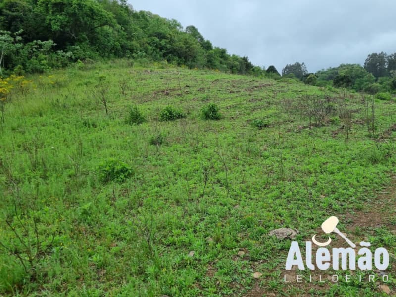 Foto 13 de 22: Area Rural em leilão em Barros Cassal - RS — LOTE 006 imóvel