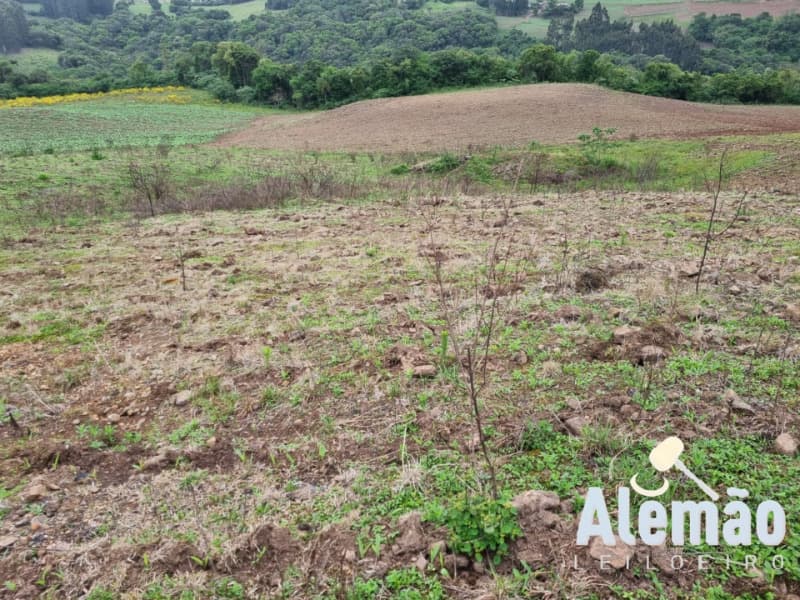 Foto 14 de 22: Area Rural em leilão em Barros Cassal - RS — LOTE 006 imóvel