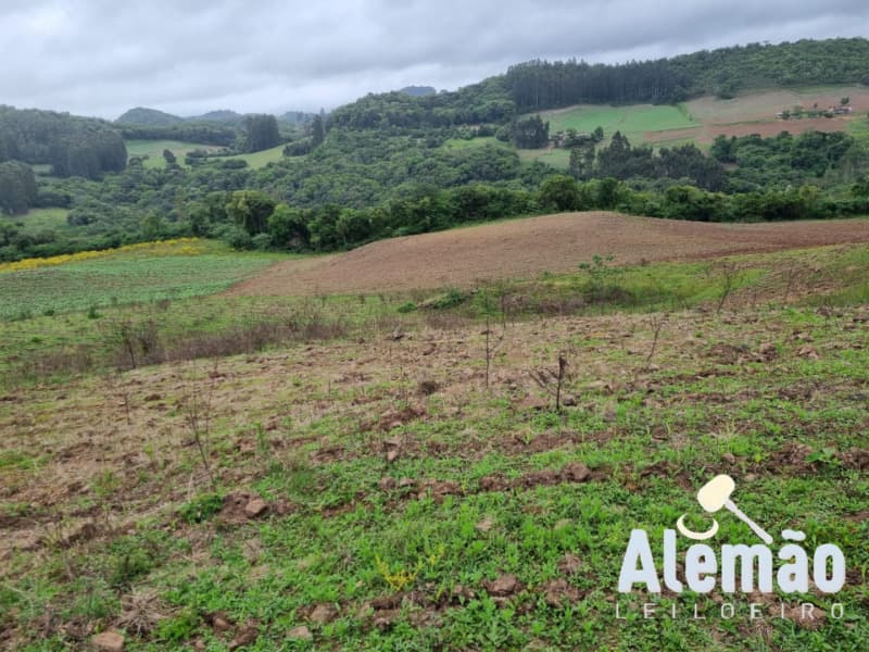 Foto 15 de 22: Area Rural em leilão em Barros Cassal - RS — LOTE 006 imóvel