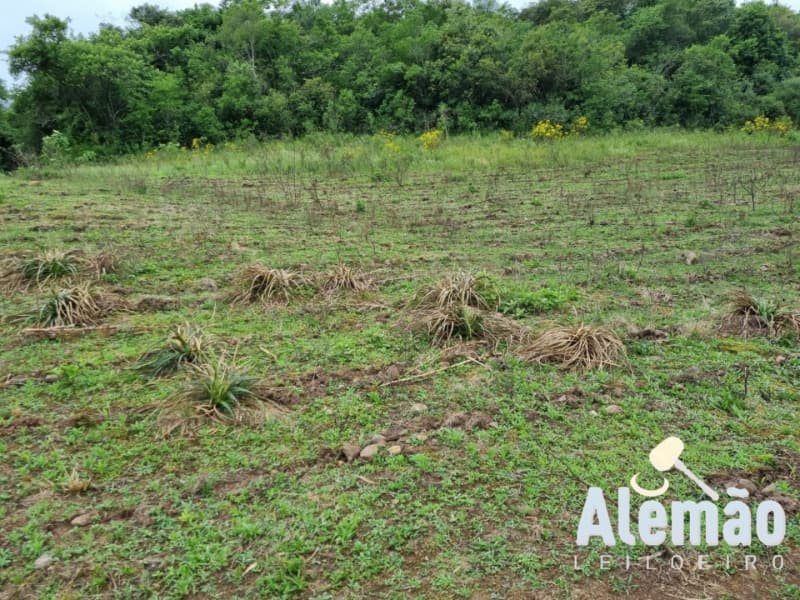 Foto 16 de 22: Area Rural em leilão em Barros Cassal - RS — LOTE 006 imóvel