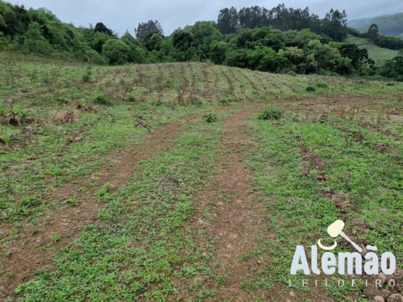 Foto 17 de 22: Area Rural em leilão em Barros Cassal - RS — LOTE 006 imóvel