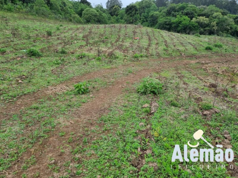 Foto 18 de 22: Area Rural em leilão em Barros Cassal - RS — LOTE 006 imóvel