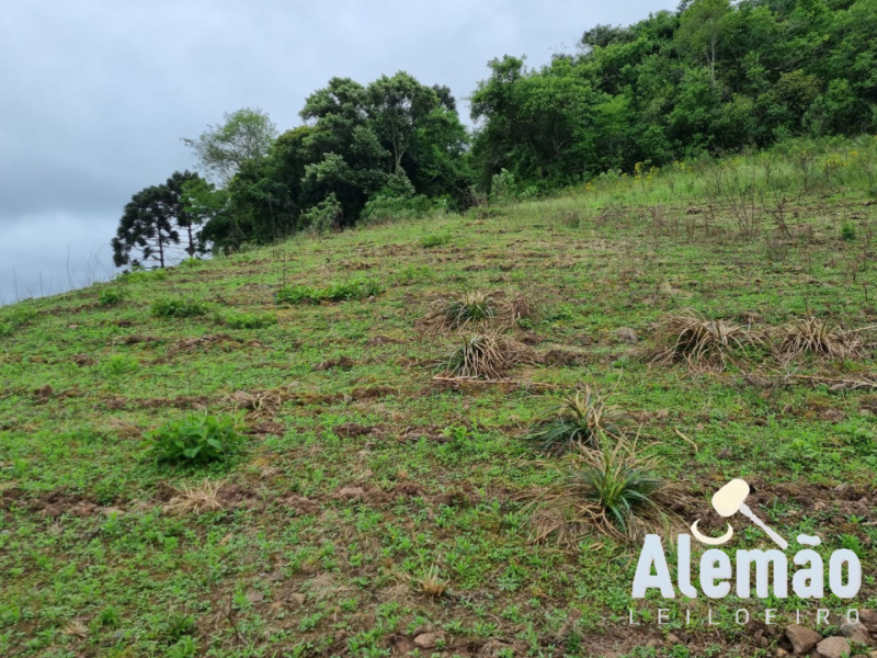 Foto 19 de 22: Area Rural em leilão em Barros Cassal - RS — LOTE 006 imóvel