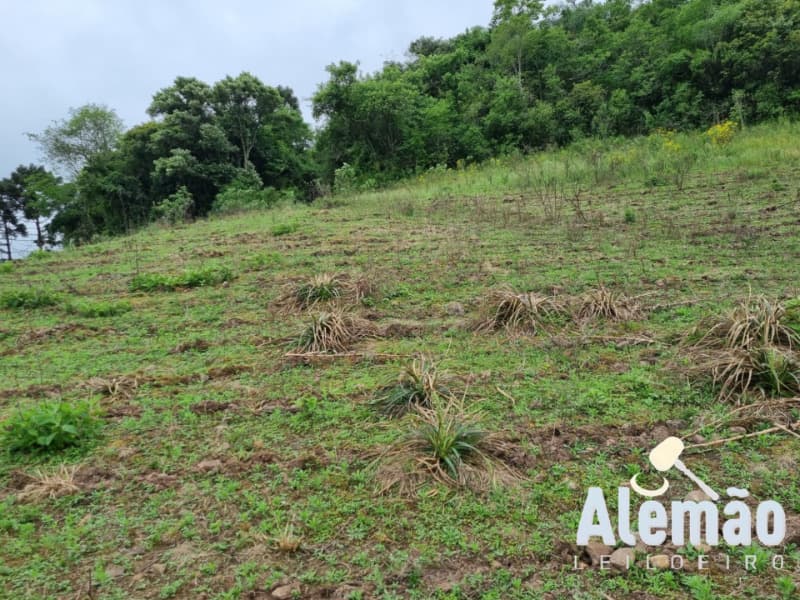 Foto 20 de 22: Area Rural em leilão em Barros Cassal - RS — LOTE 006 imóvel