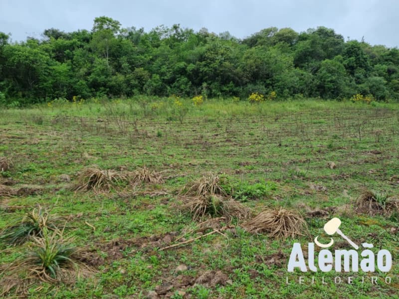 Foto 21 de 22: Area Rural em leilão em Barros Cassal - RS — LOTE 006 imóvel