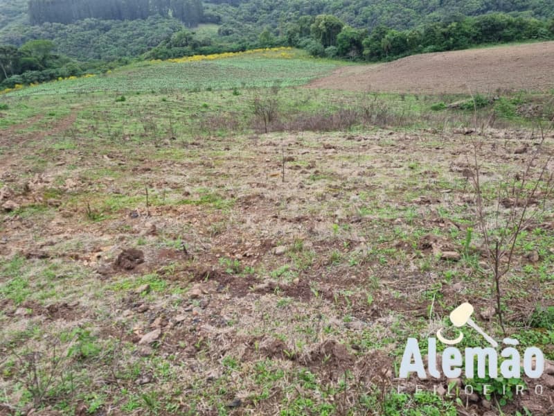 Foto 22 de 22: Area Rural em leilão em Barros Cassal - RS — LOTE 006 imóvel