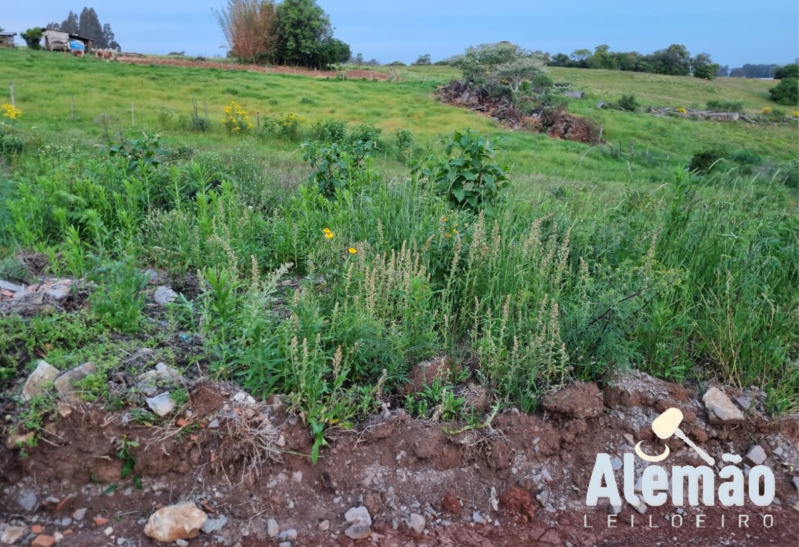 Foto 3 de 11: Terreno em leilão em Soledade - RS, bairro Missões — LOTE 008 Imóvel