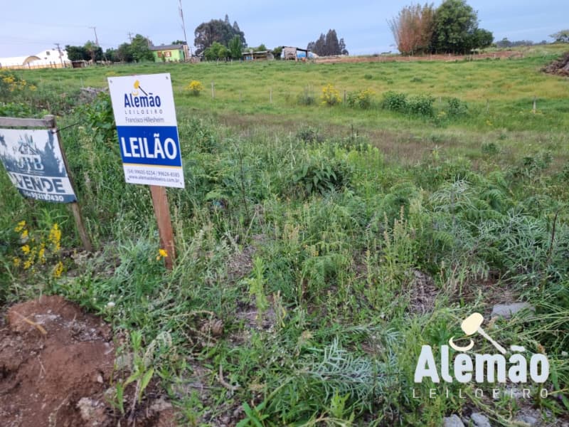 Foto 6 de 11: Terreno em leilão em Soledade - RS, bairro Missões — LOTE 008 Imóvel