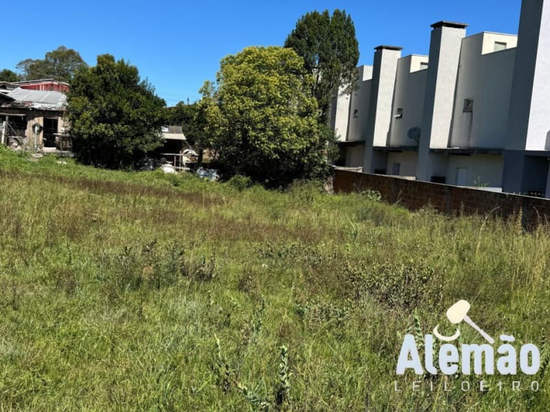 Foto 8 de 16: Terreno em leilão em Soledade - RS, bairro Expedicionário — LOTE 013 Imóvel