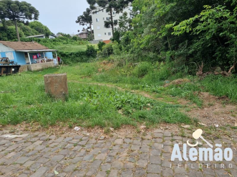 Foto 2 de 14: Terreno em leilão em Soledade - RS, bairro Expedicionário — LOTE 017 Imóvel
