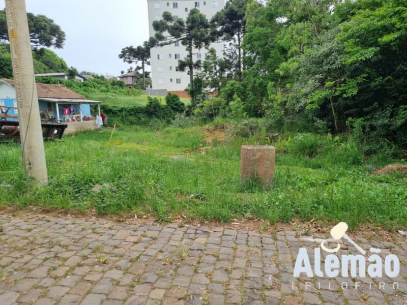 Foto 4 de 14: Terreno em leilão em Soledade - RS, bairro Expedicionário — LOTE 017 Imóvel