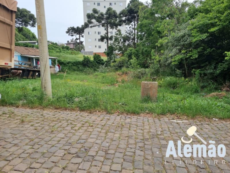 Foto 8 de 14: Terreno em leilão em Soledade - RS, bairro Expedicionário — LOTE 017 Imóvel