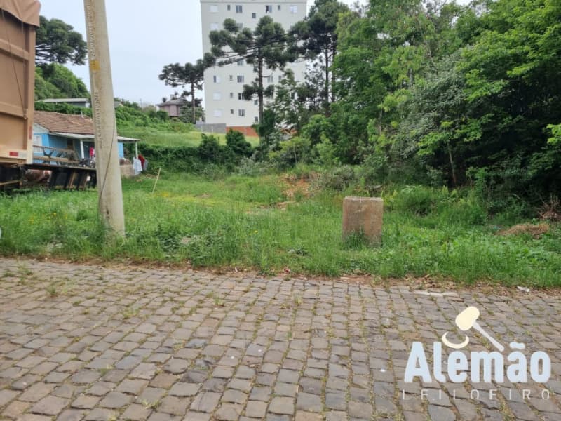 Foto 11 de 14: Terreno em leilão em Soledade - RS, bairro Expedicionário — LOTE 017 Imóvel