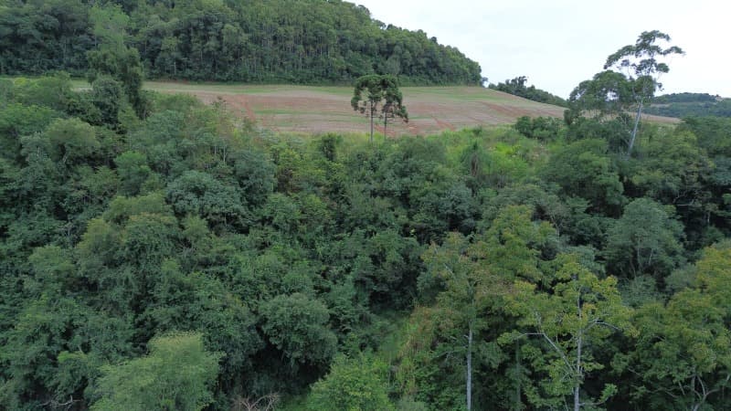 Foto 1 de 30: Terreno em leilão em Carlos Gomes - RS — LOTE 001 Imóvel